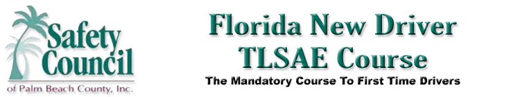 Florida First Time Driver School - TLSAE Course - On-line - $35.00 ...